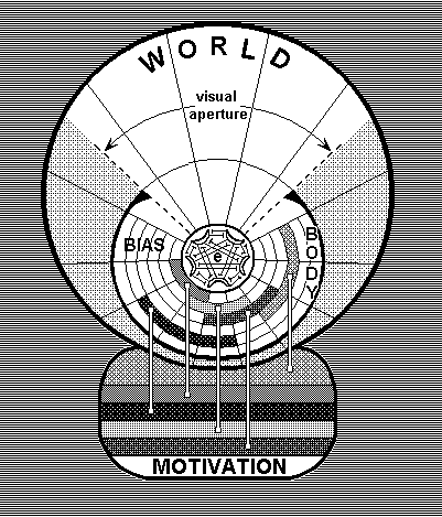 Bjorn Merker's own diagram of the motivational interface between sensory awareness space and action selection.