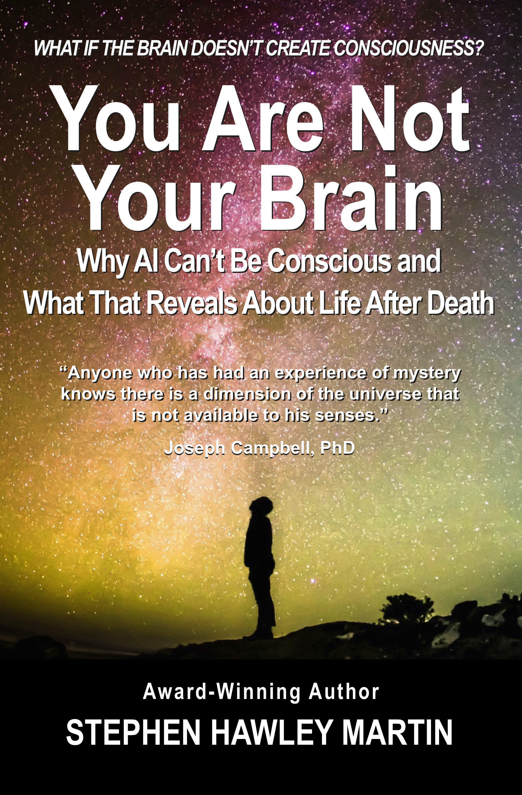 Two Books, One Argument and Stephen Hawley Martin's Case Against AI Consciousness