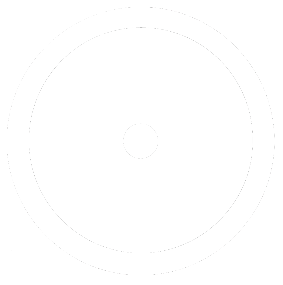 The Consciousness AI